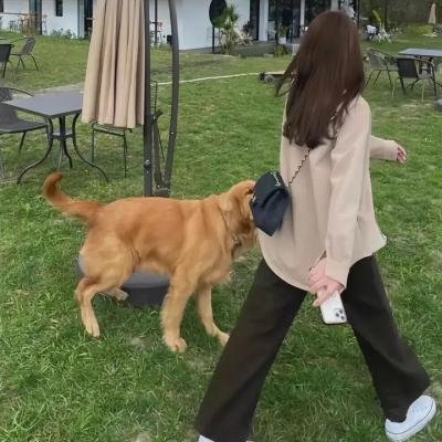 声优广播的幕前幕后