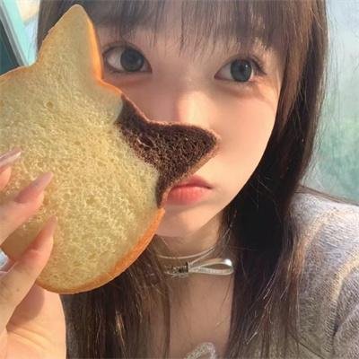 钢铁力士